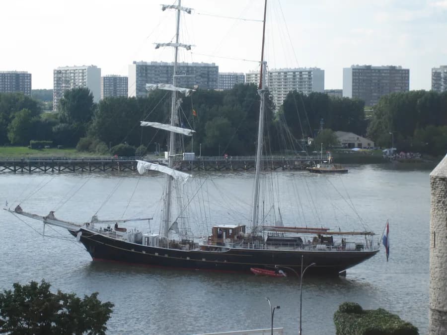 Swan fan Makkum