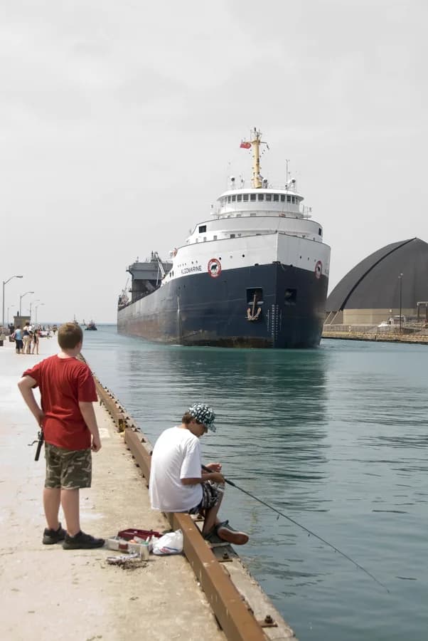 Algomarine