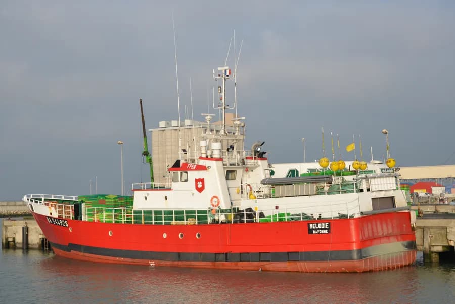 BA 544928 Melodie