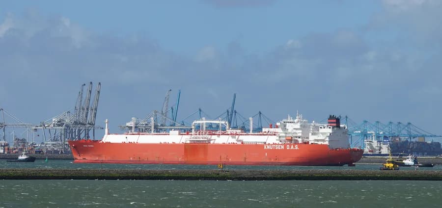 Iberica Knutsen