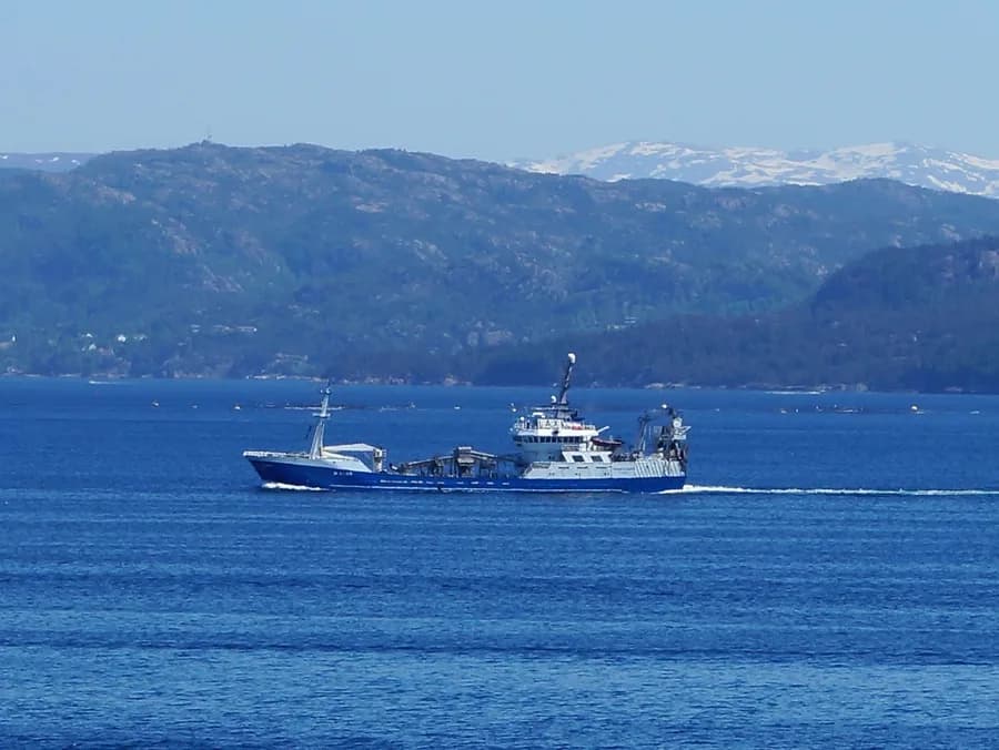 Herøyfjord