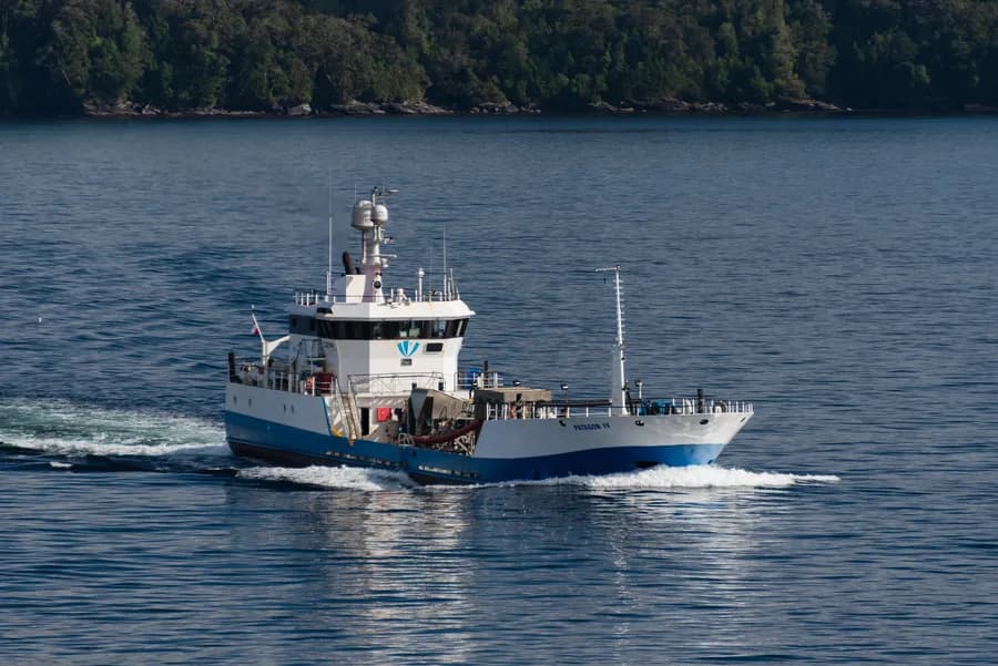 PATAGON IV
