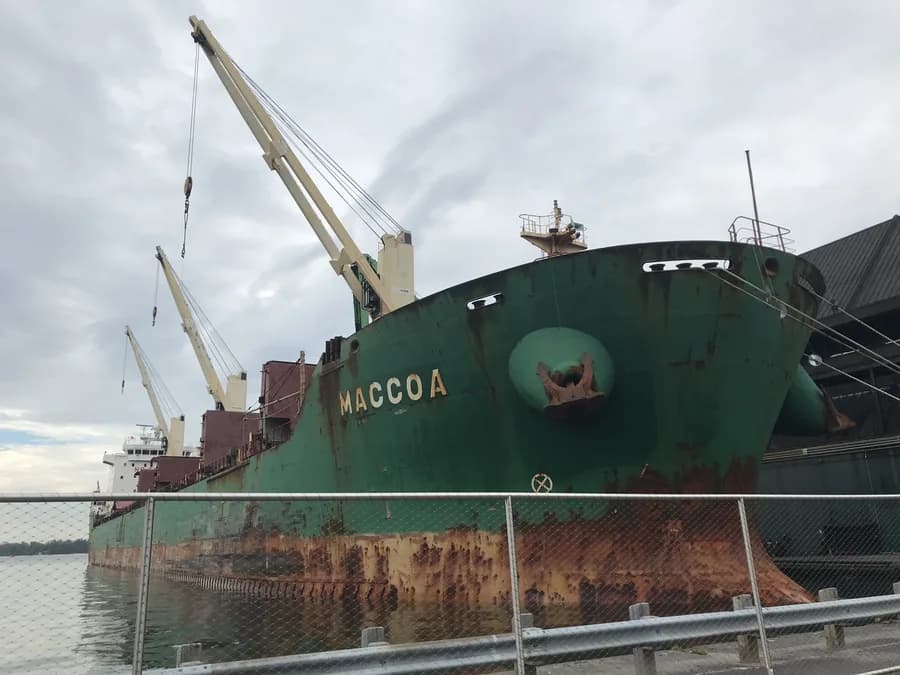MACCOA