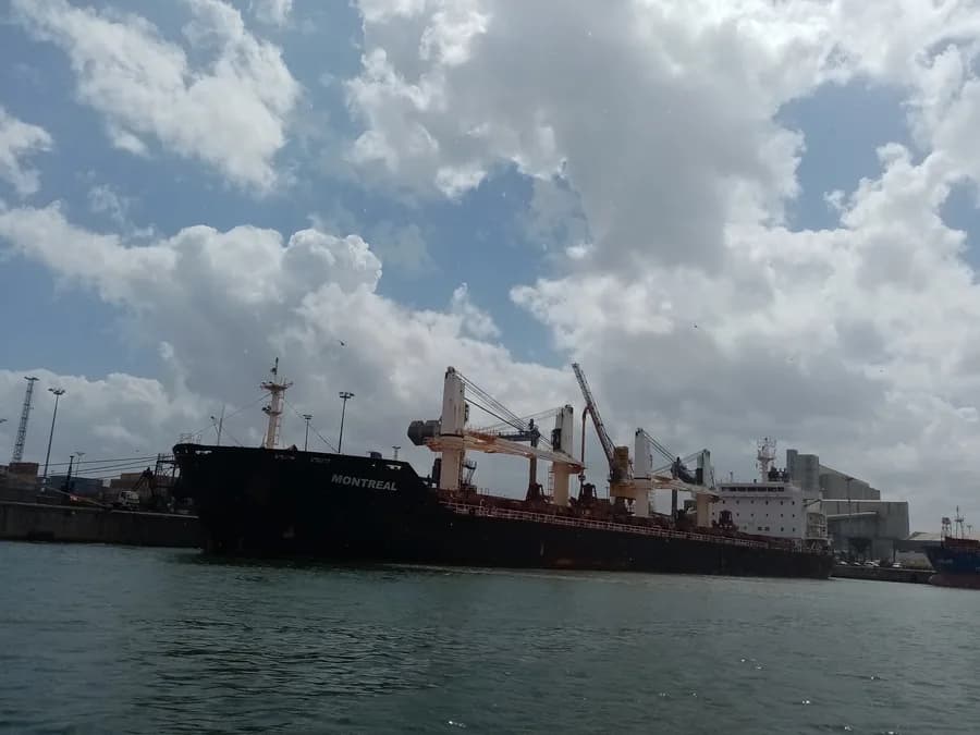 ORIENT PACE
