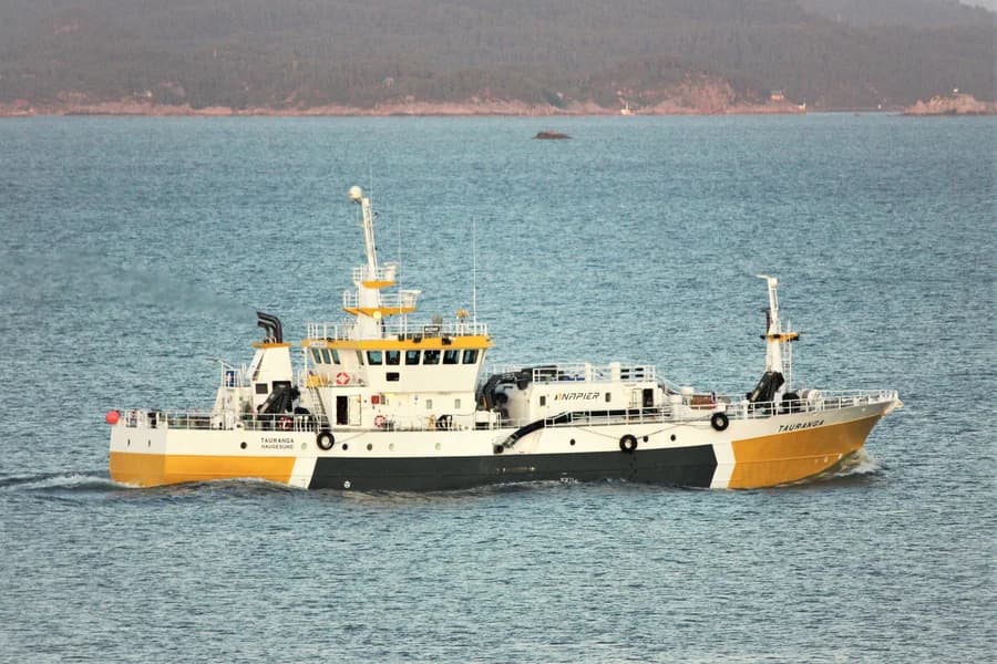 TAURANGA