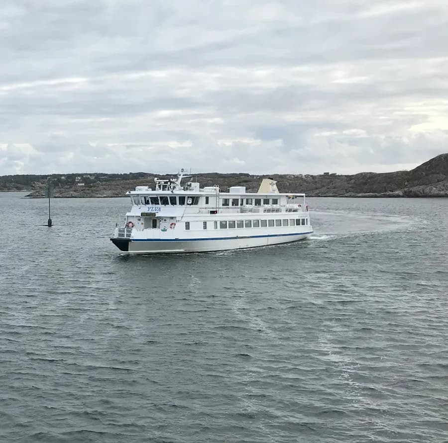YLVA