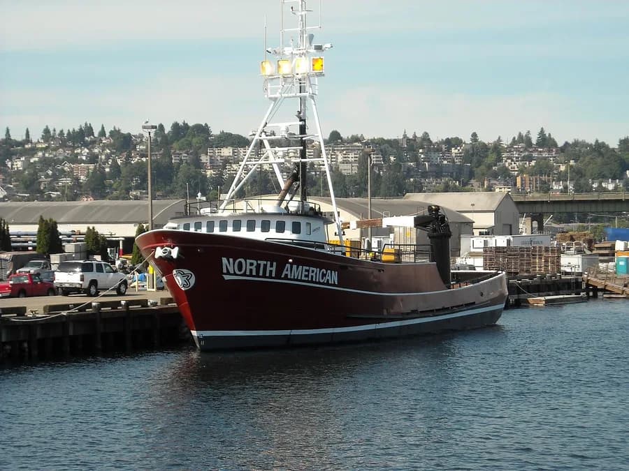 FV North American