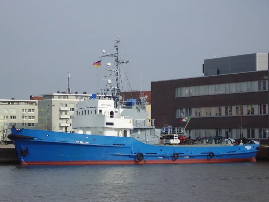 Eisvogel