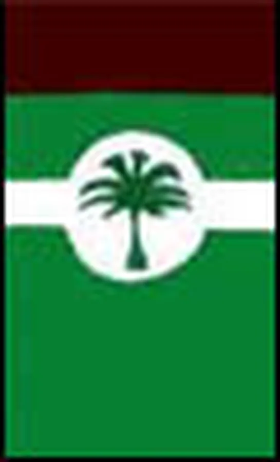 Palm Line
